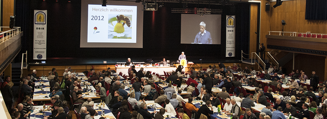 Donaueschingen 2012 Saal