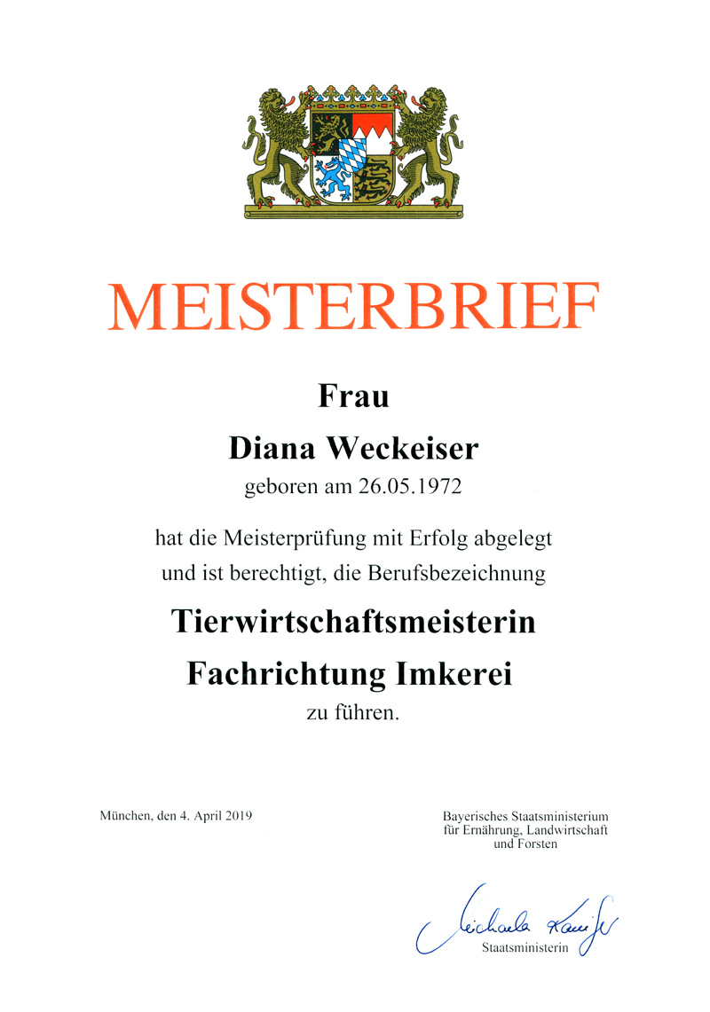 Meisterbrief klein